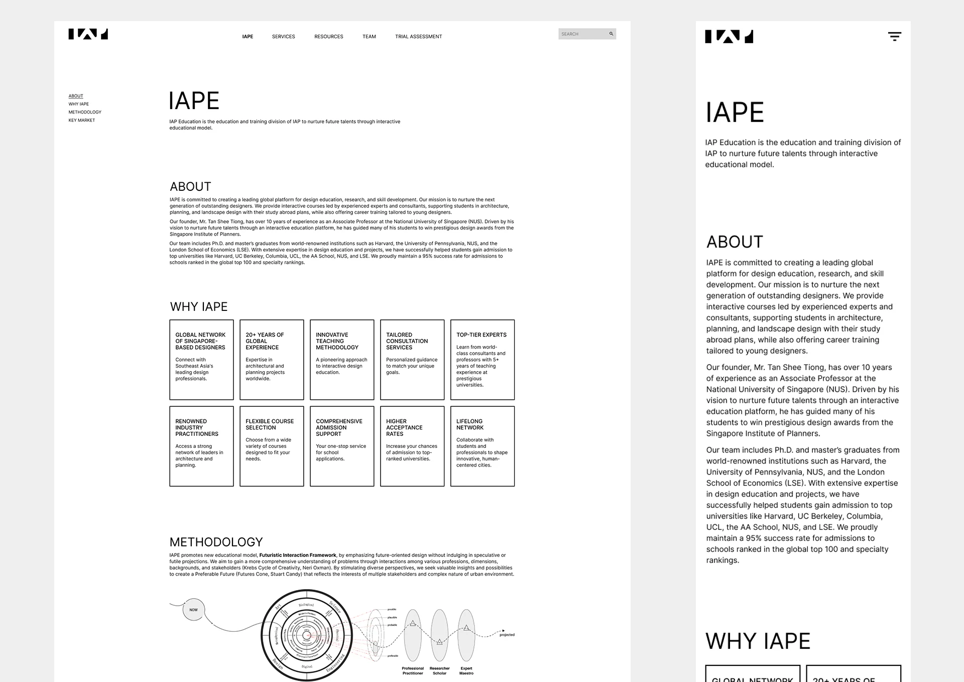IAPE